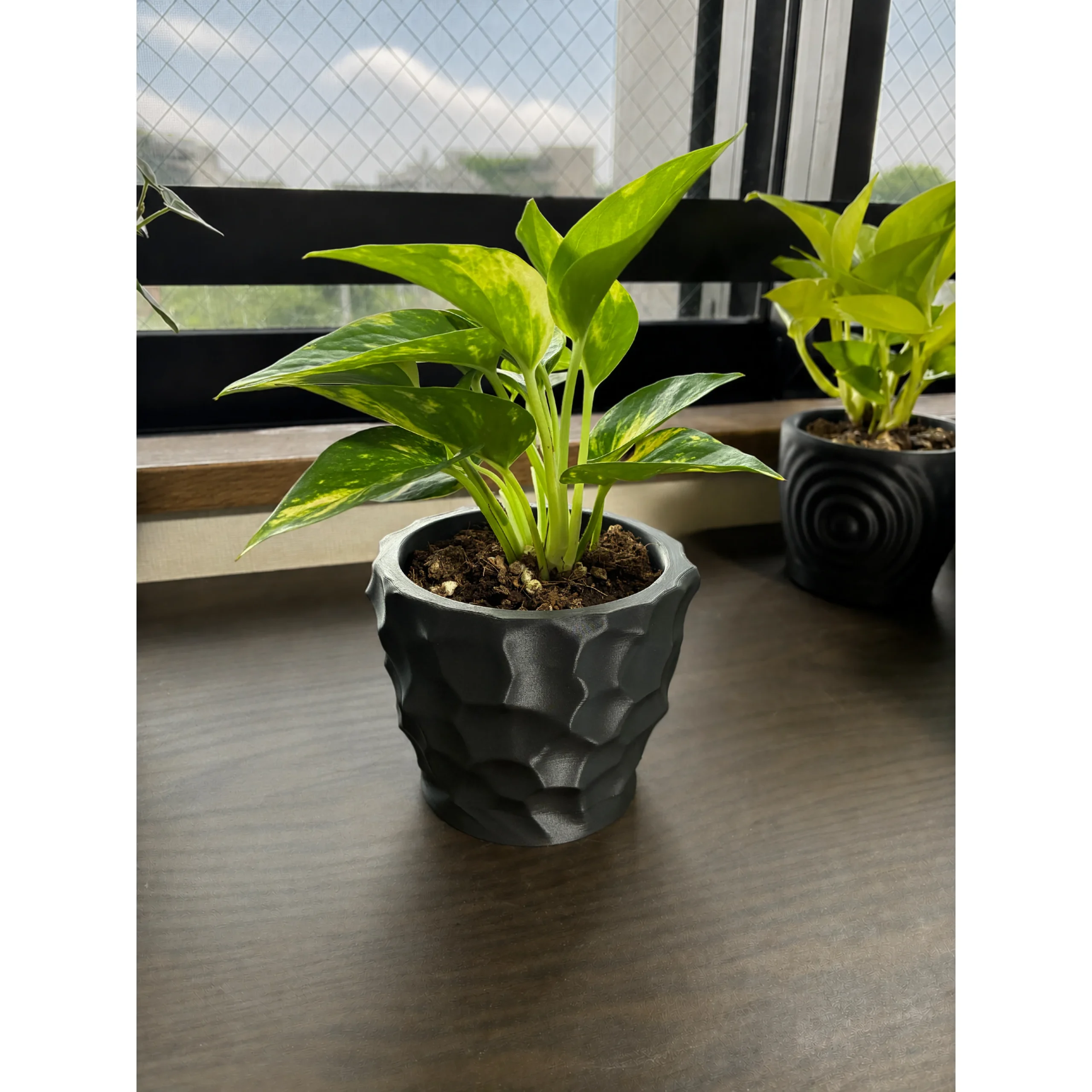 Roche 植木鉢 ブラック - 画像 (4)